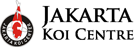 Jakarta Koi Centre Auction