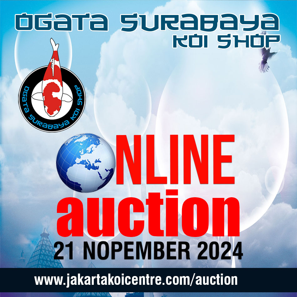 online auction osks 2024 11 21