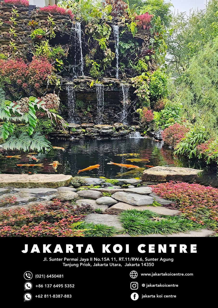 Idul Fitri 25